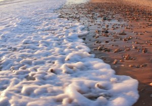 856_573357806027009_1879273520_n