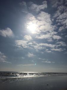 1009977_10204519735610555_5322907712189309003_n